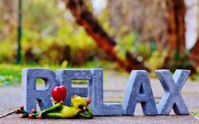 A MedMax és a munka ünnepe – Két új fejlesztés a verziófrissítésben!