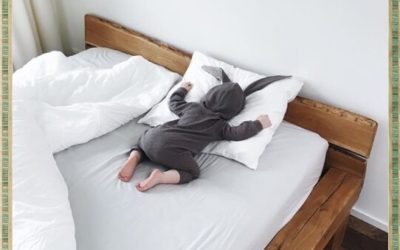 Húsvét és TAJ összevetés :-)