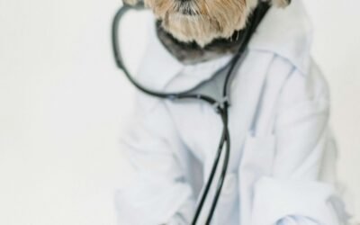 Ez egy teszt bejegyzés